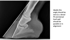 <p>Line of dorsal P3 to angle of hoof wall.</p><p>Want them to be parallel. ie angle should be 0.</p>