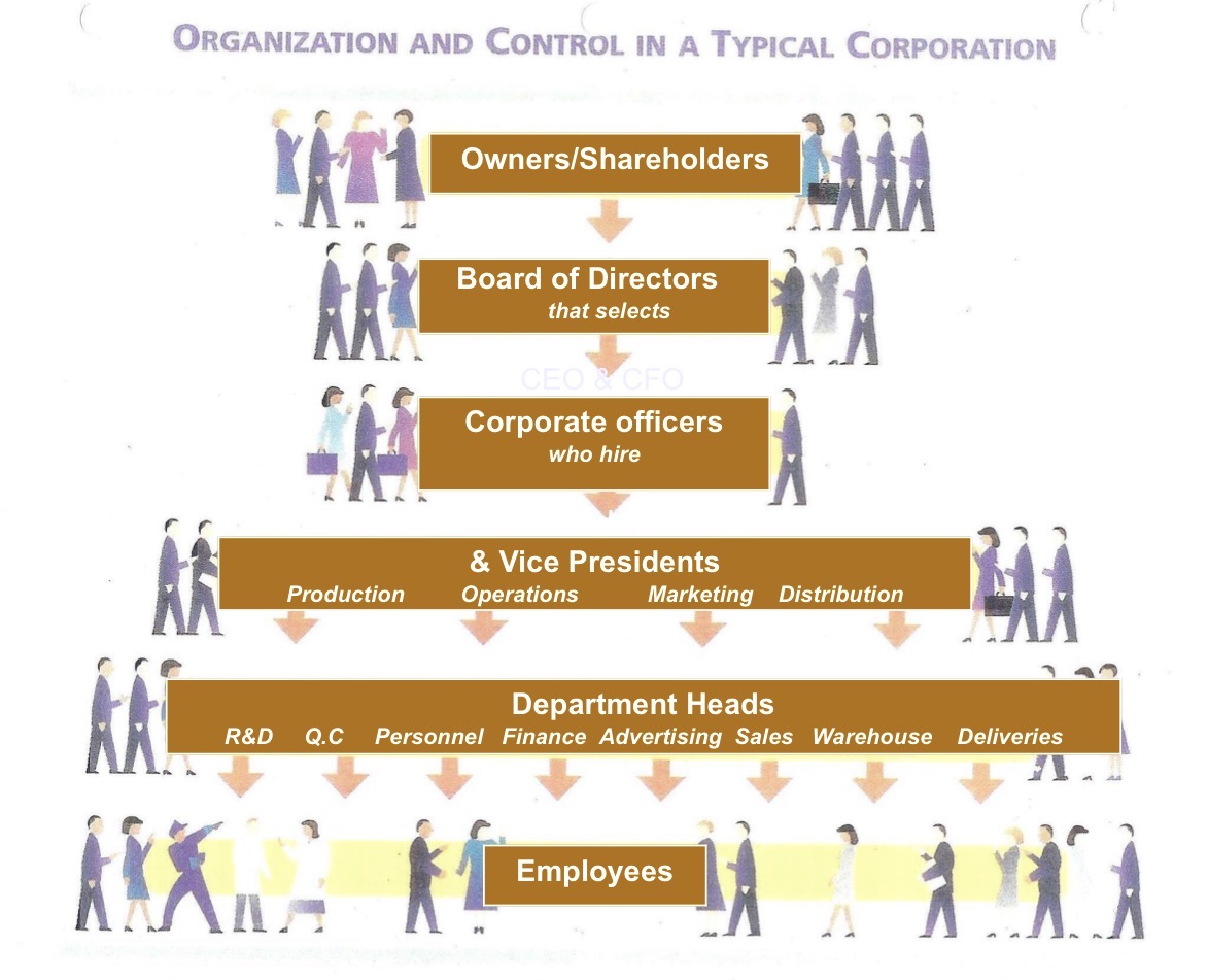 <p>Board of Directors (Role)</p>