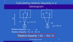 <p>Equation for Relative Disparity in a Stereogram</p>