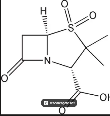 <p>Beta-lactamase inhibitor; penicillanic acid sulfone (SO2).</p>