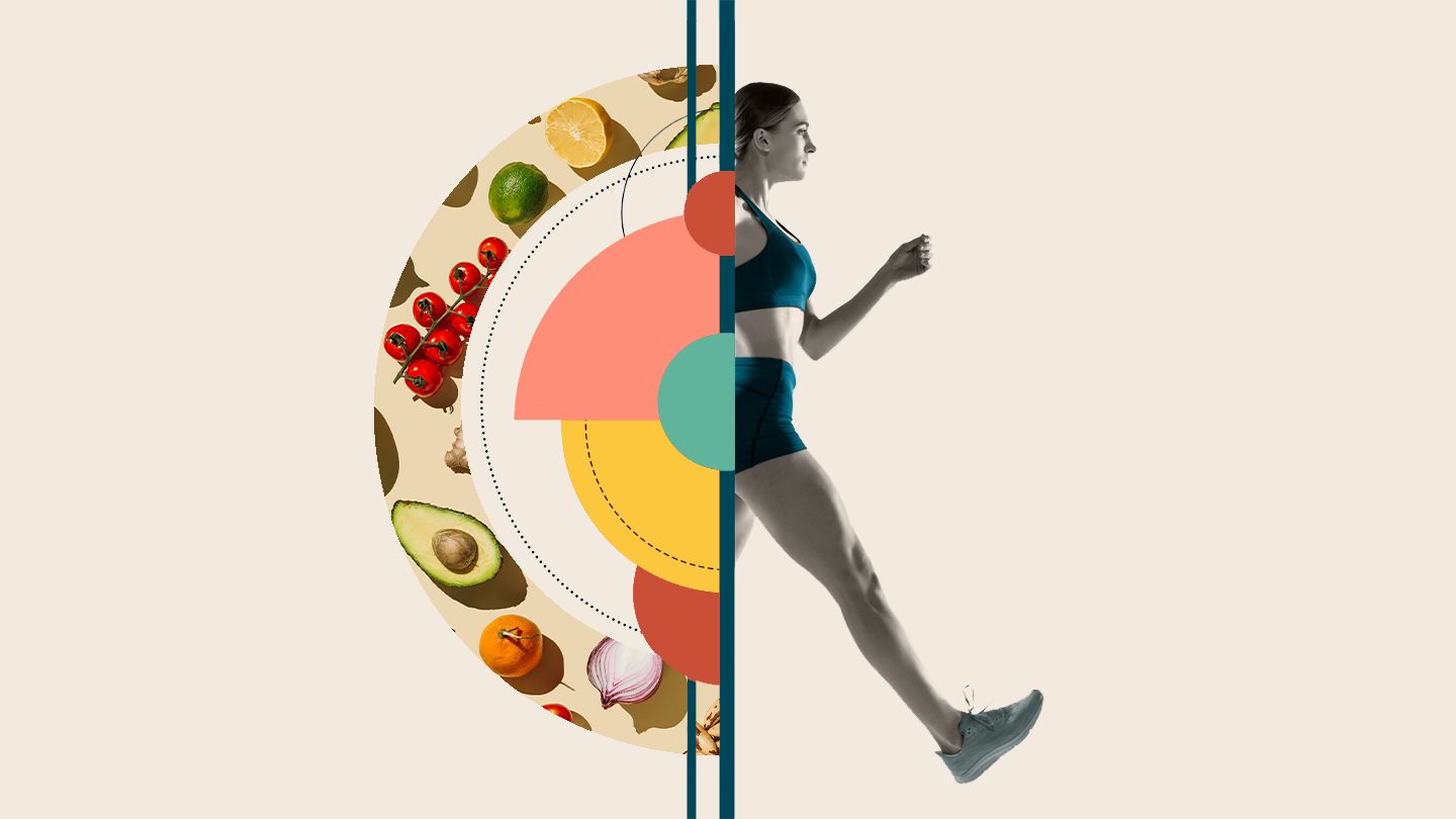 <p>metabolism</p>