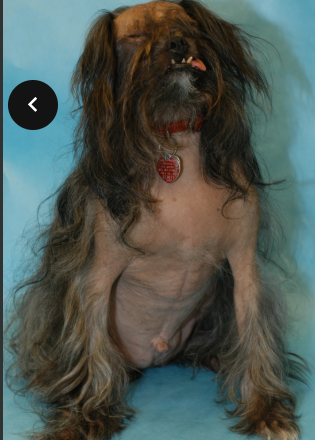 <p>What disease is this?</p>