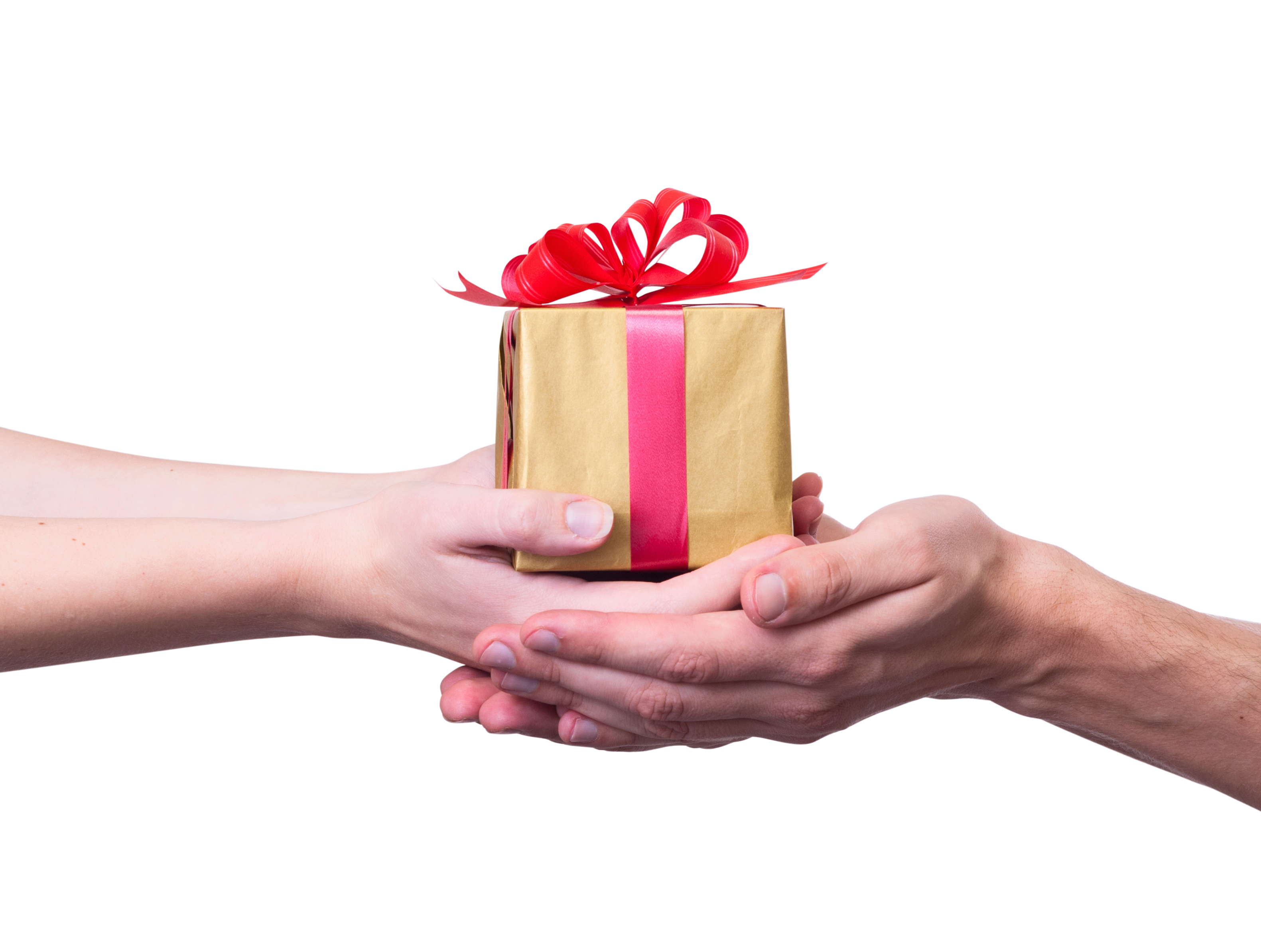 <p>receive (v)</p>