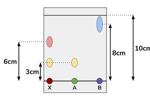<ul><li><p>by calculating the Rf value</p></li><li><p>Rf = distance travelled by substance / distance travelled by solvent</p></li></ul><p></p>