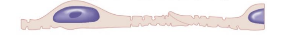 <p>what is this a picture of?</p>