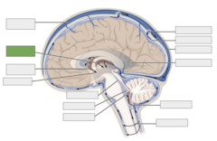 <p>This is the</p>
