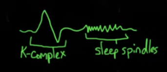 <p>Harder to wake up, more theta waves, sleep spindles(associated with ignoring stimuli), K-complexes(ignore cortical arousal and help with sleep based memory consumption),</p>