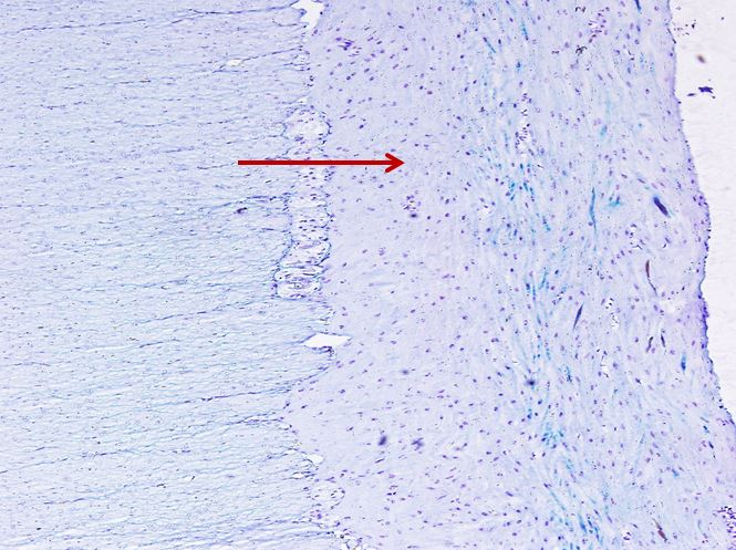 <p>Cấu trúc gì ?</p>