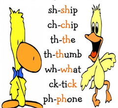 <p>two-letter combinations that create one phoneme </p><p>ex. th, sh, ch, wh, ph, ng, gh, ck</p>