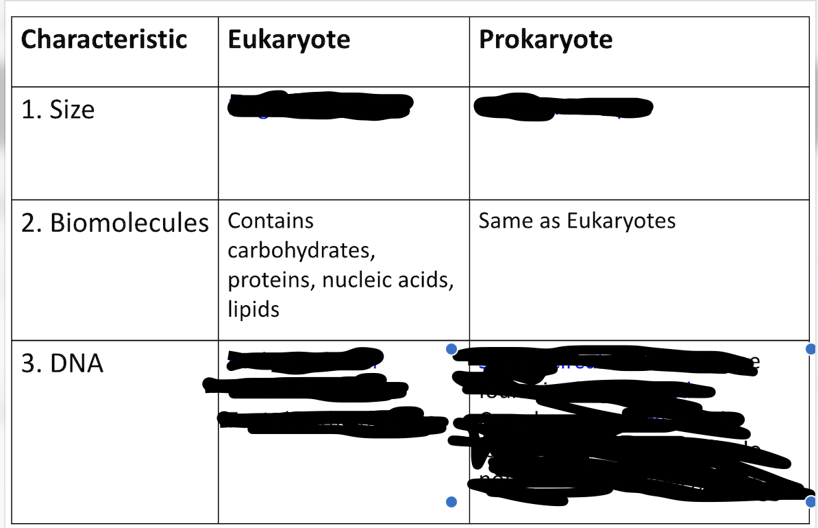 <p>Comparing Eukaryotes and Prokaryotes</p>