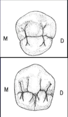 <p>three</p>