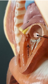 <p>What is this?</p>