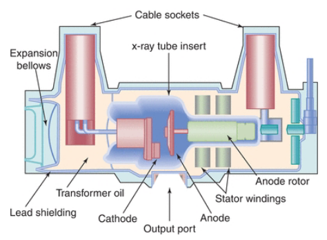 <p>The anode is responsible for ___</p>