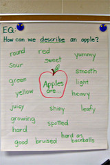 <p>to describe</p>