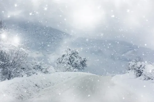 <p>winter</p>
