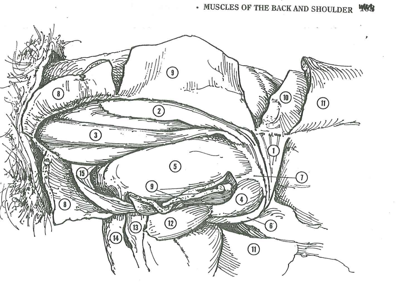 <p>Name 10</p>