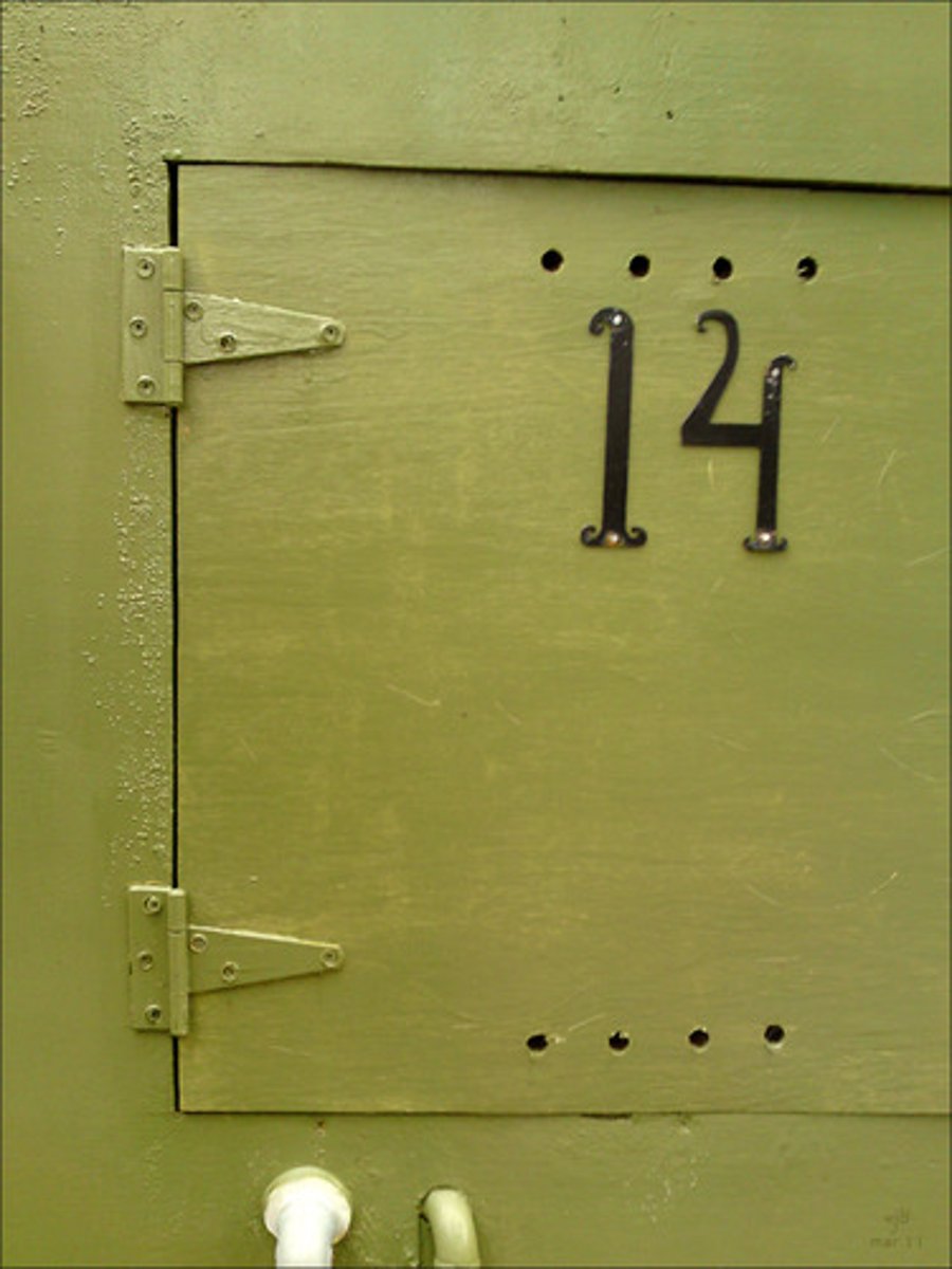 <p>14</p>