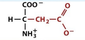 <p>pH 3.90</p><p>negatively charged</p>