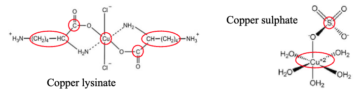 <p><strong>Nutritionally Organic Minerals</strong></p><ul><li><p>Minerals which are chelated (bound) to a carbon containing compound (e.g. amino acid)</p></li><li><p>Generally, more bioavailable</p></li></ul><p><strong>Nutritionally Inorganic Minerals</strong></p><ul><li><p>Elements or molecules without carbon</p></li><li><p>Generally, less bioavailable</p></li></ul><p></p>
