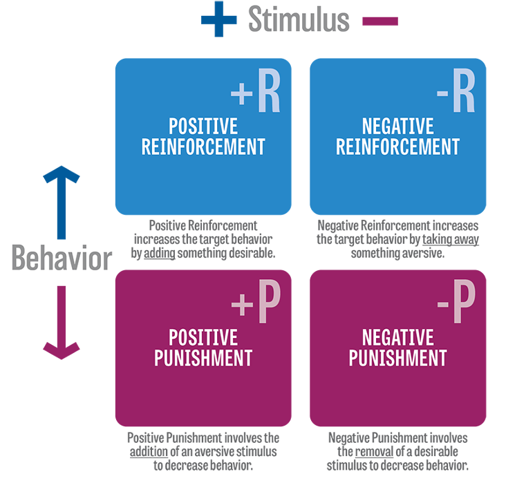 <p>positive punishment </p>