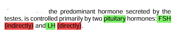 <p><strong><u>Testes Function</u></strong></p>