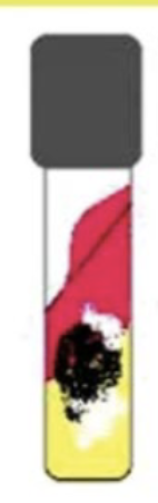 <p>test name and result</p>