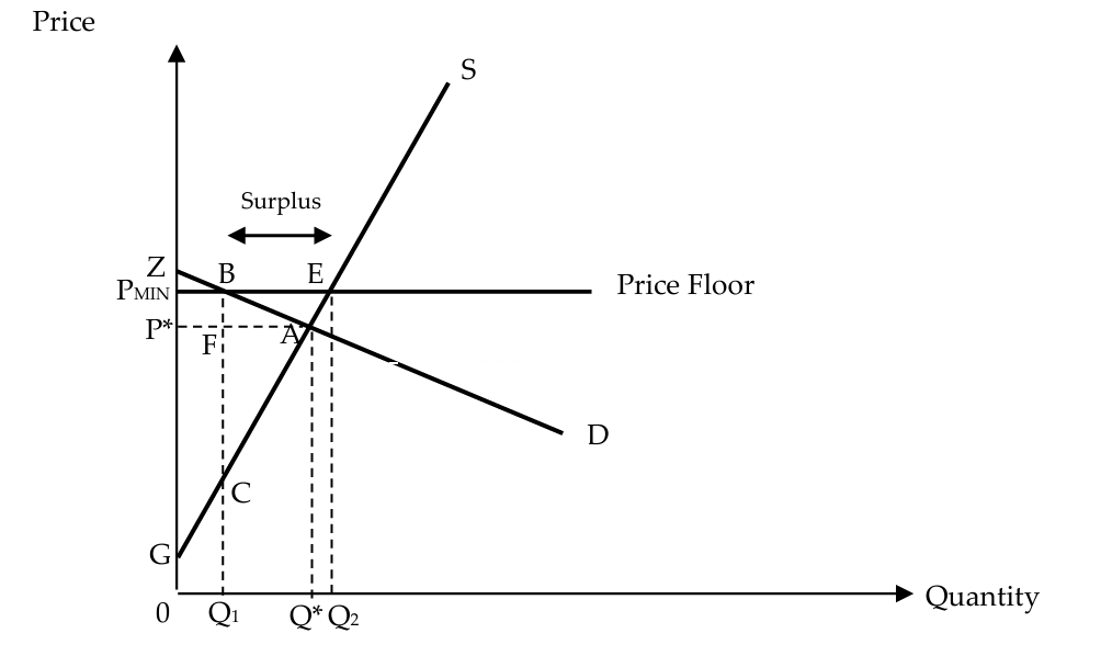 <ul><li><p>as local farmers, are likely to face a fall in their revenues with a price floor, a price support policy can be imposed to protect the prices and incomes that farmers receive for their produce + ensure food security</p></li><li><p>the farmers’ initial total revenue is shown by 0P* x 0Q*,<br>corresponding to area 0P<em>AQ</em></p></li><li><p>with a price floor, the price is now higher at PMIN, but<br>the quantity transacted falls more than proportionately to Q1, due to the price elastic demand for such local agricultural produce ⇒ the farmers’ total revenue<br>falls to 0PMINBQ1</p></li><li><p>with a price floor at PMIN, the quantity demanded is at Q1 while the quantity supplied is Q2 ⇒ surplus of Q2Q1 units</p></li><li><p>to prevent the surplus from depressing prices, the government buys up this surplus, and the government spending required<br>to soak up the surplus is equal to area Q1BEQ2 ⇒ farmers’ revenue increases to area 0PMINEQ2</p></li><li><p>the government can then deal with the purchased surplus<br>in a variety of ways</p><ol><li><p>buffer stock scheme: surplus can be stored so that when poor harvests occur in the future, such surpluses are released into the market to prevent food shortages and escalating food prices</p><ul><li><p>only feasible for food products that are relatively less perishable like wheat or milk powder</p></li><li><p>more perishable products like butter, fruits or vegetable requires refrigeration ⇒ extremely costly</p></li></ul></li><li><p>surplus can be exported to other countries</p><ul><li><p>as the exported price is usually lower than the domestic supported price, the government can only recover some but not all of the costs of buying up the surplus</p></li><li><p>these countries are indirectly subsidising its exports, which raises the world supply and depresses the world price of the product, causing more producers in other countries, especially the developing ones, to suffer from lower agricultural income</p></li></ul></li><li><p>surplus can be donated to poorer developing countries as foreign food aid</p><ul><li><p>irony is that these poor developing countries are often the ones who are doing badly in the first place partly because their agricultural markets are unable to compete with the subsidised produce coming from the developed countries</p></li></ul></li></ol></li></ul><p></p>