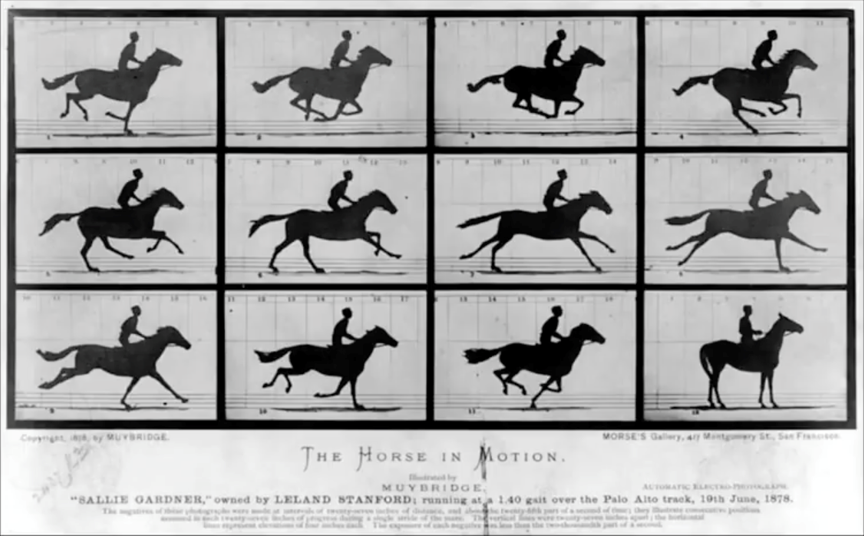 <p>Describe this image.</p>