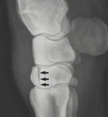 <p>What is the etiology of carpal slab fractures and where are they most commonly seen?</p>
