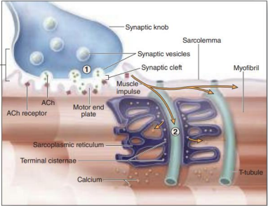<p>what is this, and what is #1</p>