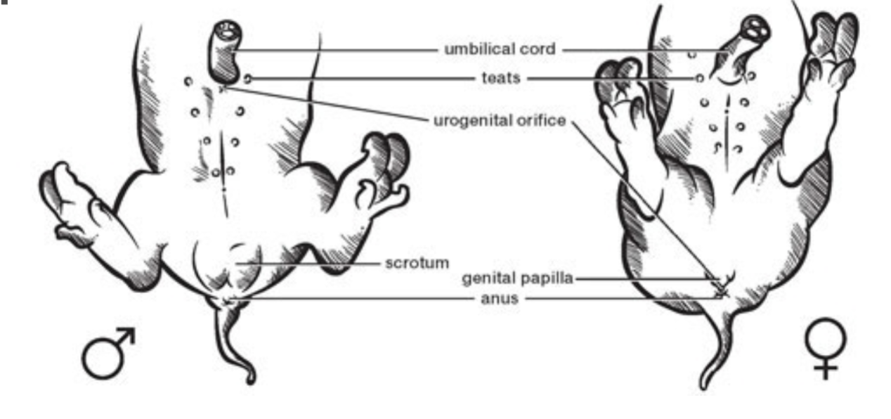 <p>label the following</p>