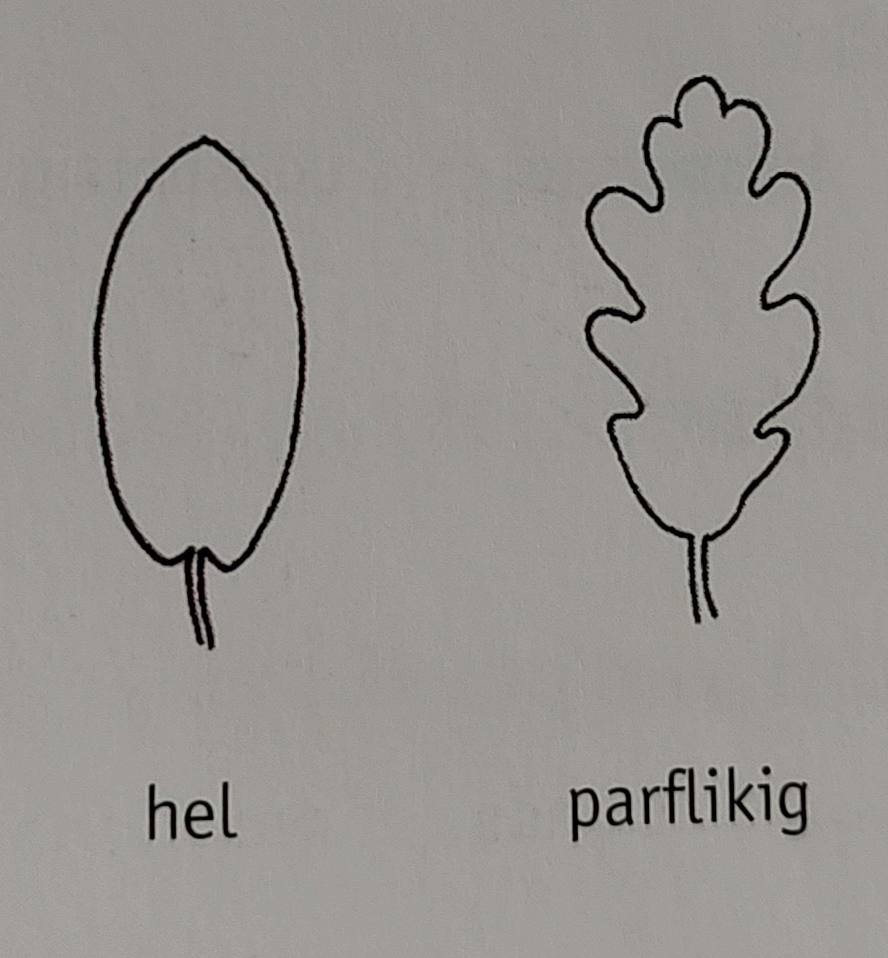 <p></p>