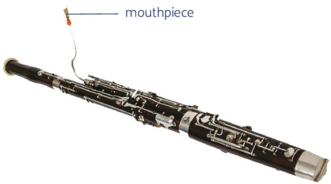 <p>Bassoon</p>
