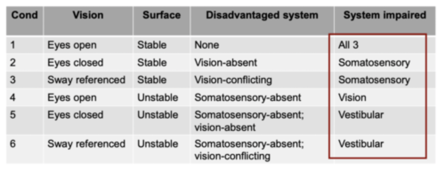 <p>Vestibular</p>