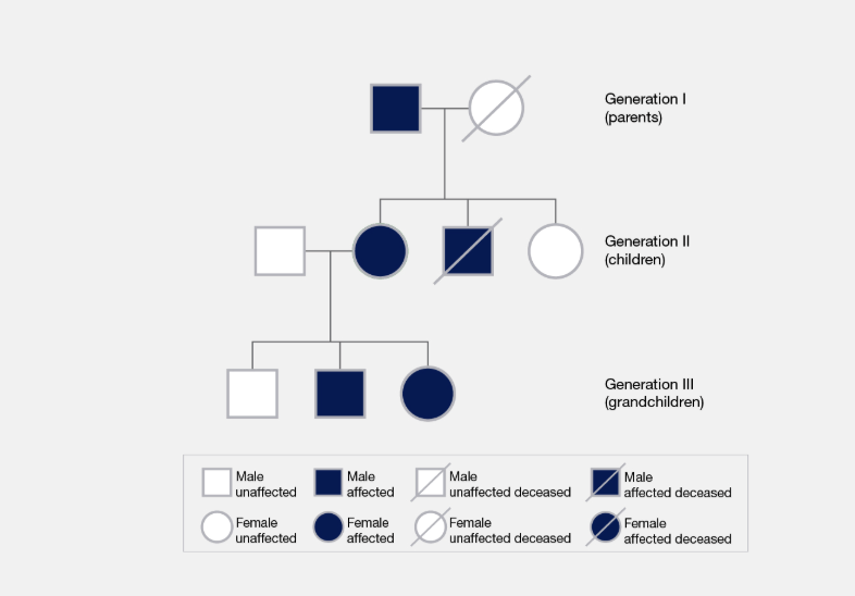 <p>An organized representation of biological relationships</p>
