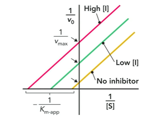 <p>what inhibition is represented by this graph</p>