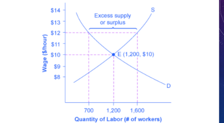 <p>increased supply of labor creates a ________ of workers</p>