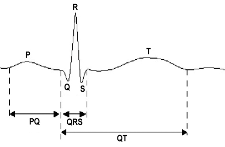 <p>What does each wave mean?</p>