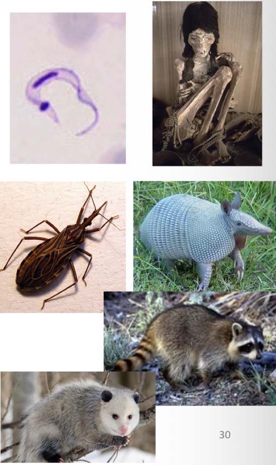 <p>What is this?</p>
