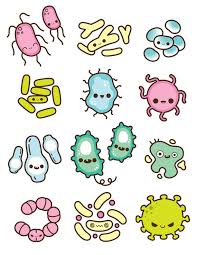<p><strong>Bacterial STIs</strong></p>