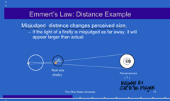 <p>If the light of a firefly is misjudged as far away, it will appear (larger/smaller) than actual</p>