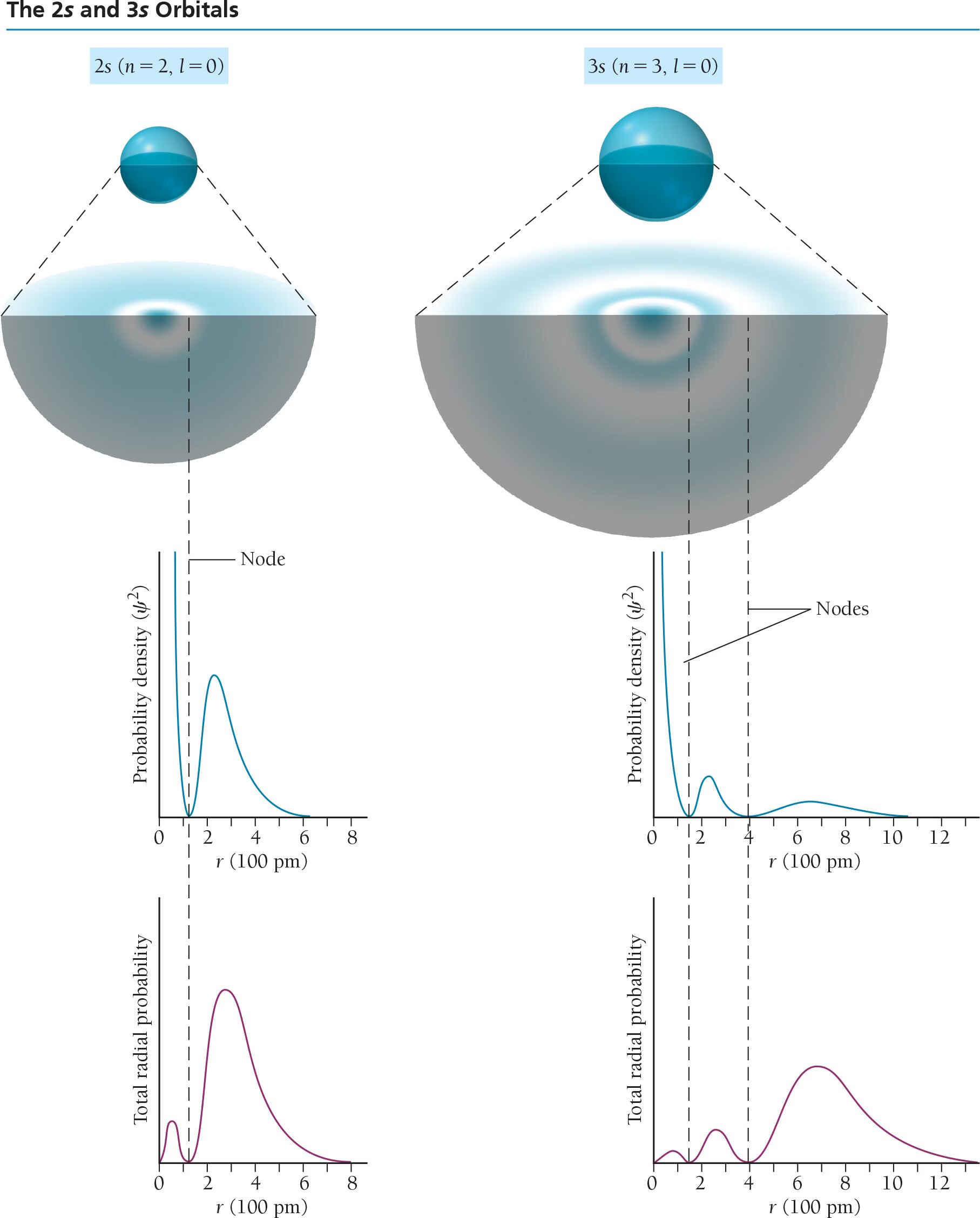 <p>2s and 3s orbitals are larger in size than the 1s orbital, and unlike the 1s orbital, they contain at least one ____.</p>
