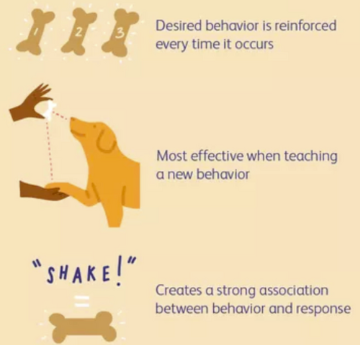 <p>Continuous schedule of reinforcement</p>