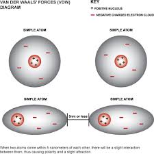 <p>What are Van der Waals forces?</p>