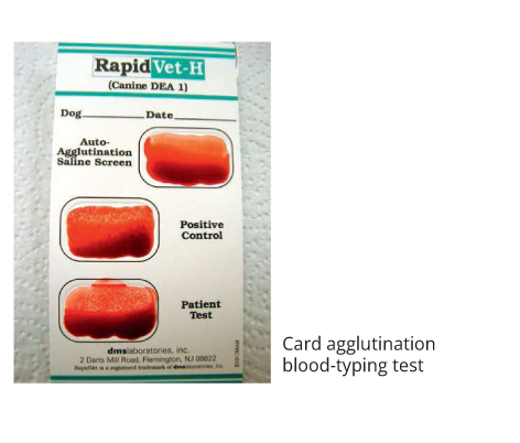 <ul><li><p>rapid and accuarate blood typing</p></li><li><p>there is a positive control which will agglutinate to show test works and then the test with the patient blood and DEA 1 compound to show if patient blood reacts </p></li></ul><p></p>