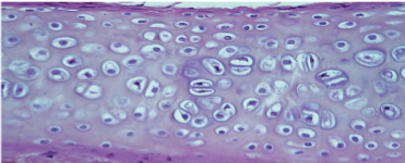 <p>Slide 23</p>