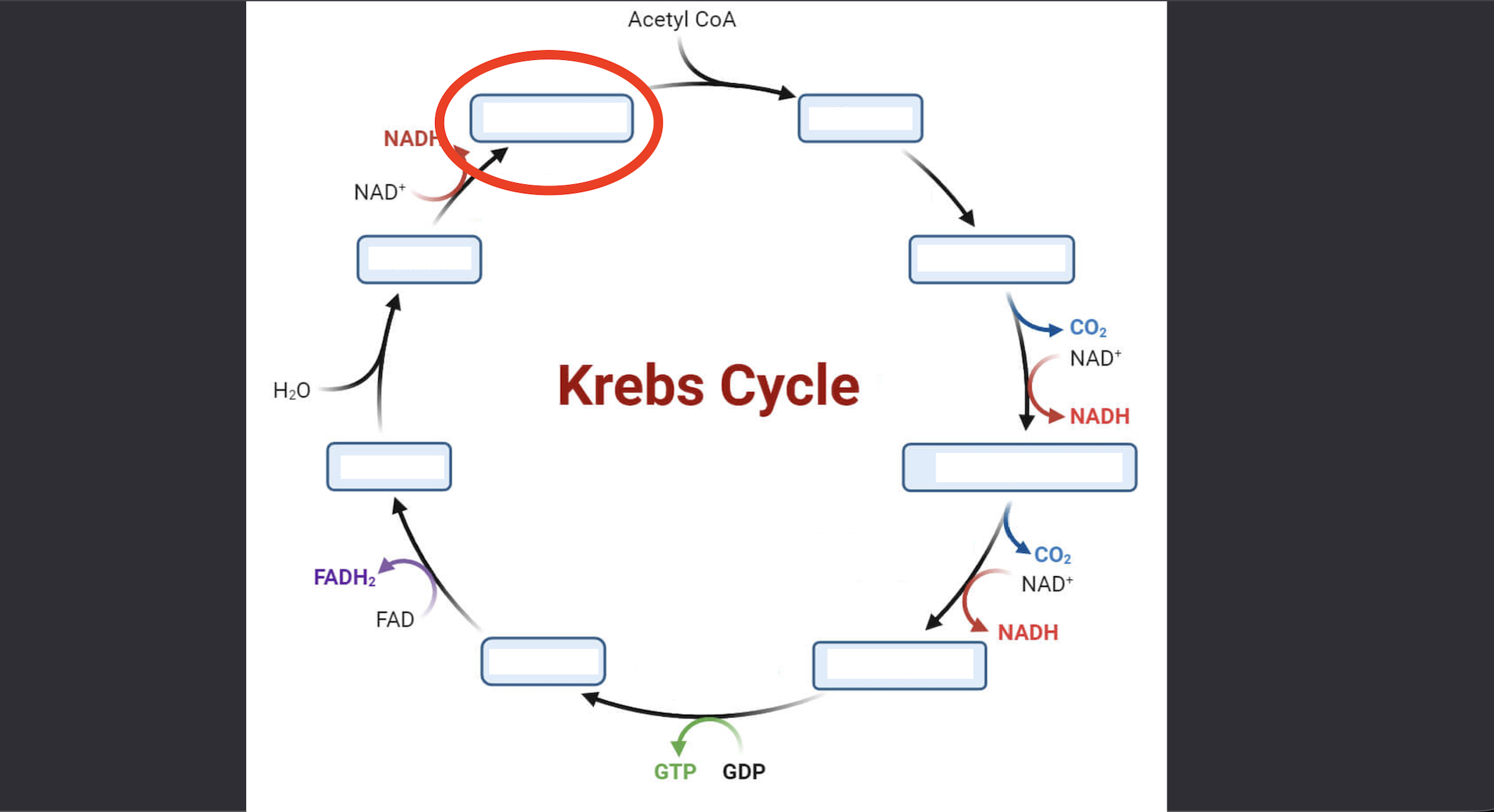 <p>Intermediate 8</p>