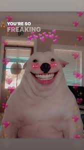 <p><span style="background-color: transparent;"><span>List</span></span></p>