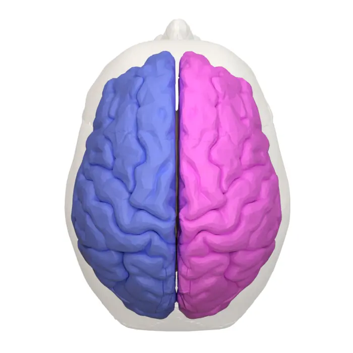<p></p>