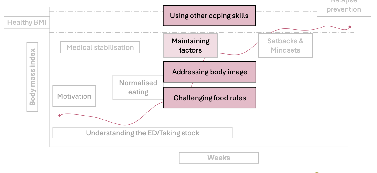 <ul><li><p>Learn better coping skills </p><ul><li><p>Handle difficult feelings (e.g., stress, sadness, loneliness)</p></li><li><p>Instead of using eating behaviours to cope</p></li></ul></li><li><p>Break strict food rules </p><ul><li><p>Challenge beliefs like:</p><ul><li><p>“If I eat this, I will lose control”</p></li></ul></li><li><p>Start eating feared foods in a flexible way</p></li></ul></li><li><p>Work on body image </p><ul><li><p>Reduce:</p><ul><li><p>comparing yourself to others</p></li><li><p>checking your body all the time</p></li></ul></li><li><p>Use exposure (e.g., looking in the mirror without judgment)</p></li></ul></li></ul><p></p>